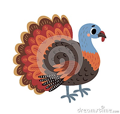 Vector turkey. Farm Bird. Vector illustration Vector Illustration